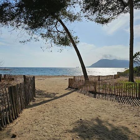 Petit Paradis Classe 3 Etoiles A 200M De La Plage! Terrasse-Wifi-Parking-Clim Saint-Mandrier-sur-Mer Eksteriør bilde