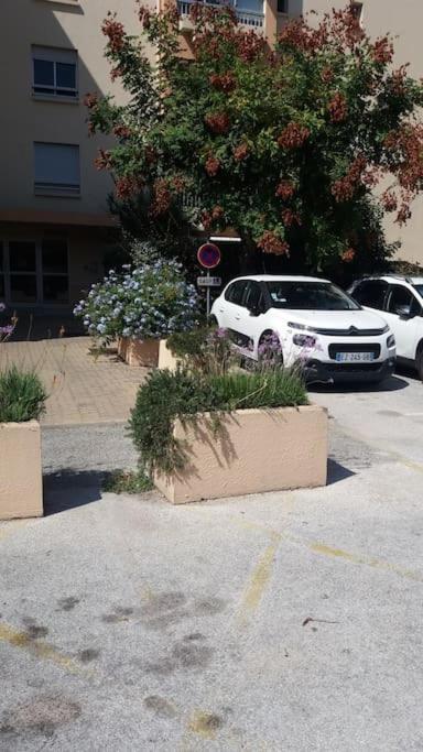Petit Paradis Classe 3 Etoiles A 200M De La Plage! Terrasse-Wifi-Parking-Clim Saint-Mandrier-sur-Mer Eksteriør bilde