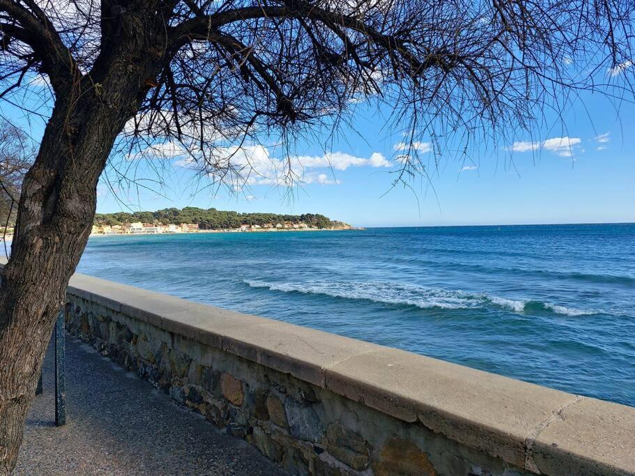 Petit Paradis Classe 3 Etoiles A 200M De La Plage! Terrasse-Wifi-Parking-Clim Saint-Mandrier-sur-Mer Eksteriør bilde