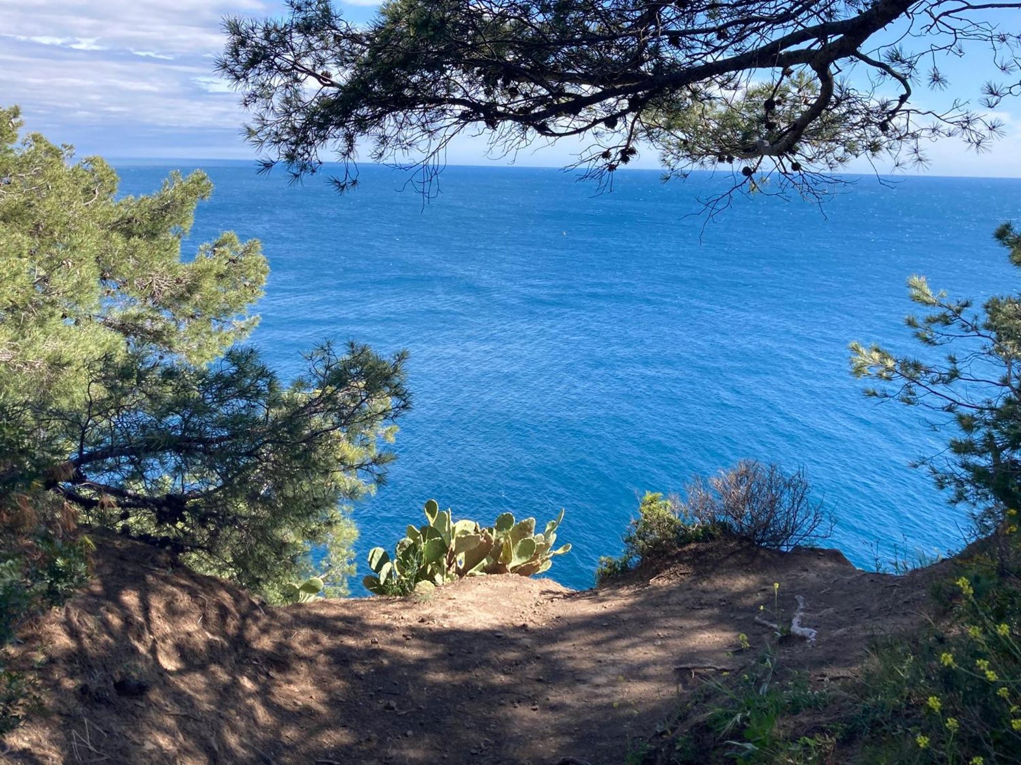 Petit Paradis Classe 3 Etoiles A 200M De La Plage! Terrasse-Wifi-Parking-Clim Saint-Mandrier-sur-Mer Eksteriør bilde